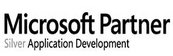 WSI Microsoft Partner Logo